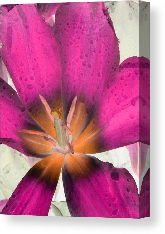 Tulip Canvas Print featuring the photograph Spring Tulips - PhotoPower 3110 by Pamela Critchlow
