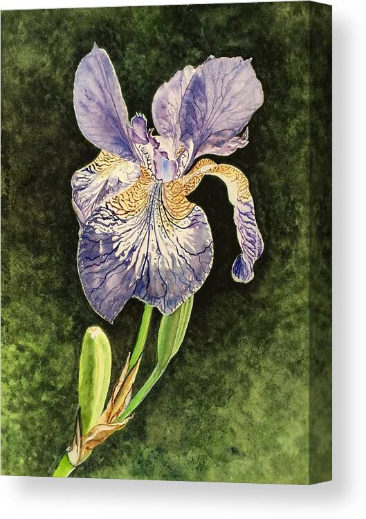 Iris Canvas Print featuring the painting Stand Out In My Garden by Sonja Jones