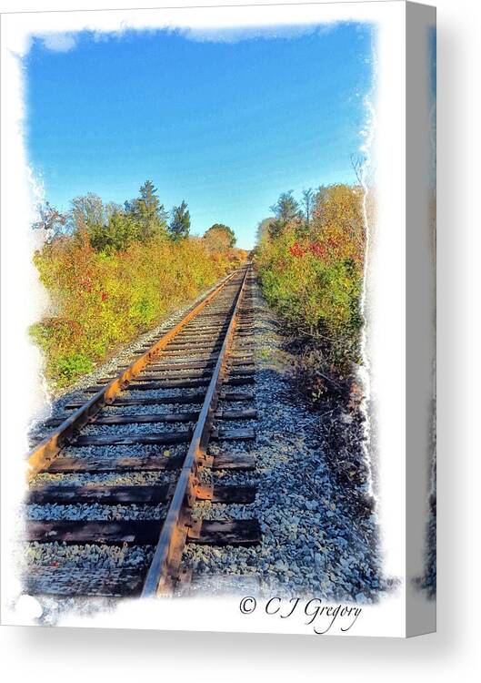 Cape Cod Canvas Print featuring the photograph Straight Track by Constantine Gregory