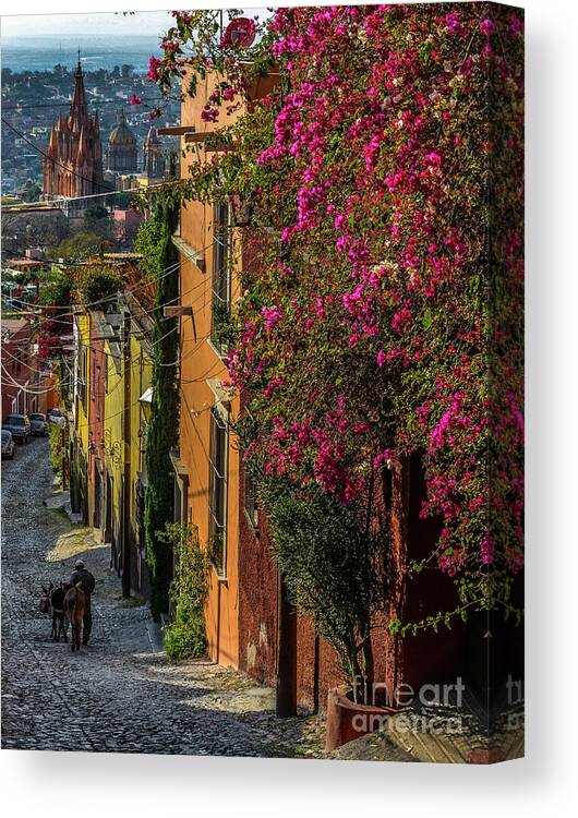 Street Canvas Print featuring the photograph Streets of San Miguel by David Meznarich