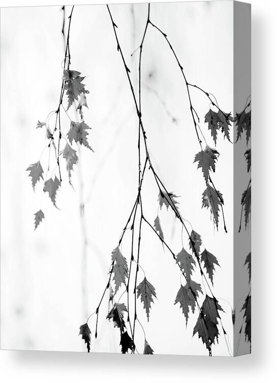 Leaves Canvas Print featuring the photograph Subtle by Rebecca Cozart