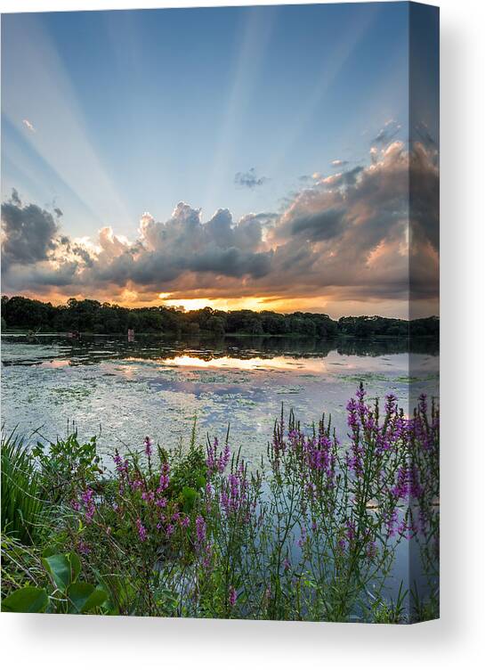 New England Canvas Print featuring the photograph Summer Rays by Bryan Bzdula