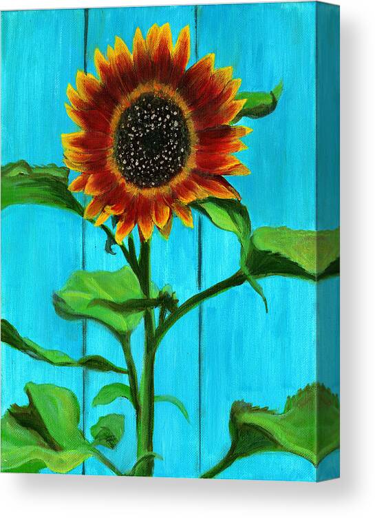 Sunflower Canvas Print featuring the painting Sunflower On Blue by Debbie Brown