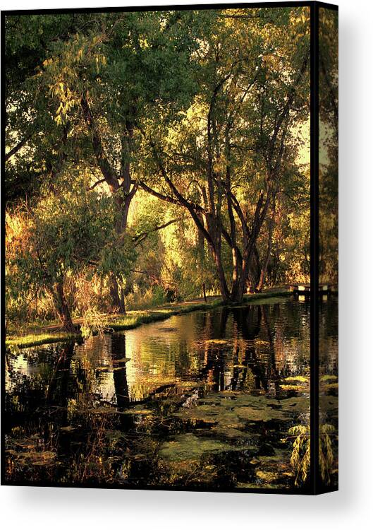 Pond Canvas Print featuring the photograph Sunrise Springs by Paul Cutright