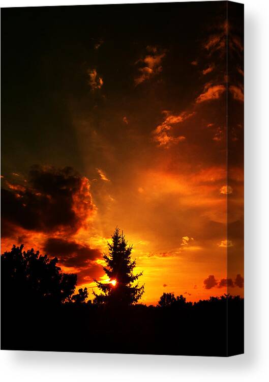 Sunset Canvas Print featuring the photograph Sunset madness by Flavien Gillet
