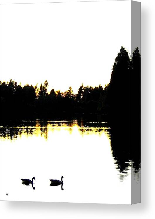 Swans Canvas Print featuring the photograph Swan Silhouette by Will Borden