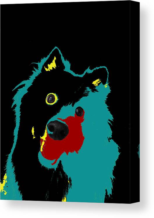 Teal Canvas Print featuring the photograph Teal Dog by Marcia Socolik