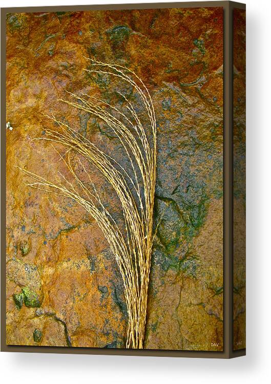 Textured Nature Canvas Print featuring the photograph Textured Nature by Debra   Vatalaro