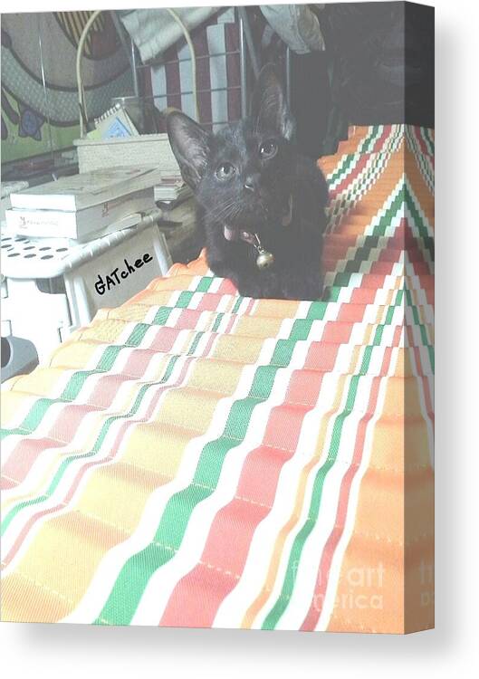 Black Canvas Print featuring the photograph The Black Kitten by Sukalya Chearanantana