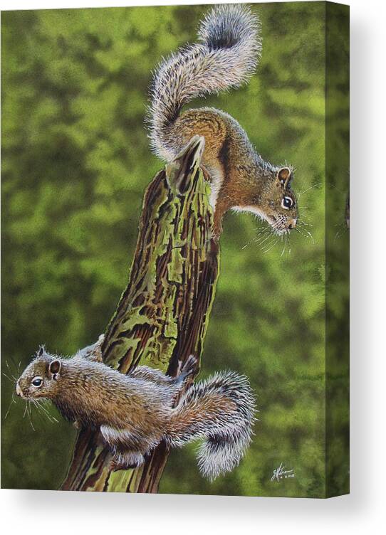 Squirrel Canvas Print featuring the painting The Chase by Greg and Linda Halom