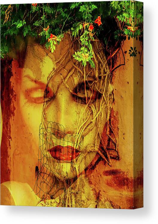 Face Canvas Print featuring the photograph The face and the tree by Gabi Hampe