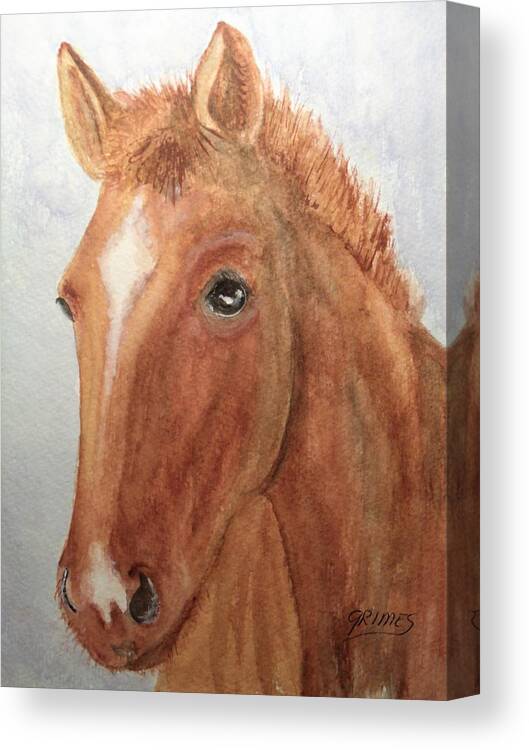 Horse Canvas Print featuring the painting The Red Pony by Carol Grimes