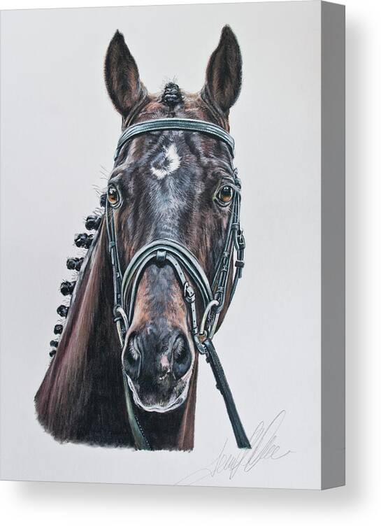 Equine Canvas Print featuring the pastel The Stallion Don Principe by Terry Kirkland Cook