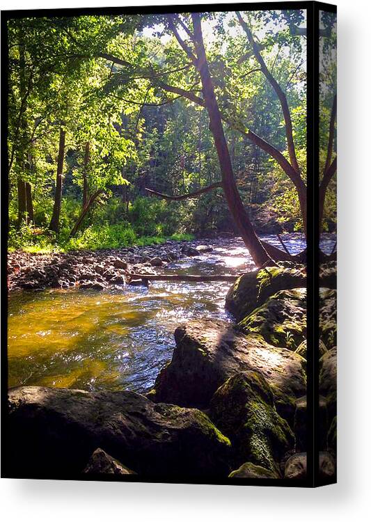 Stream Canvas Print featuring the photograph The Stream by Shawn Dall