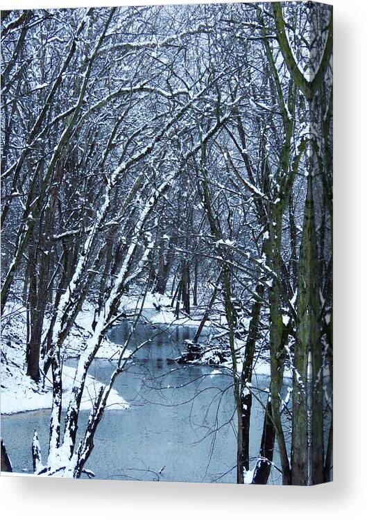 Stream Canvas Print featuring the photograph The Winter Stream by Lori Frisch