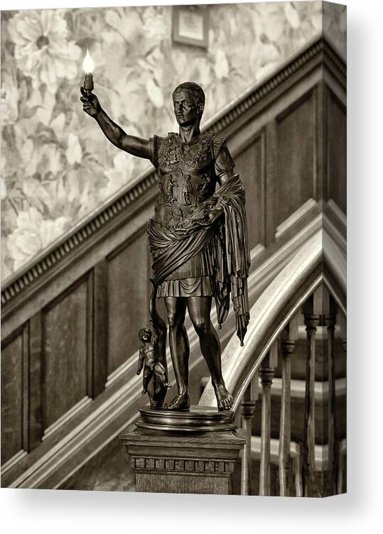 5ds Canvas Print featuring the photograph Torch-bearer by John Hoey