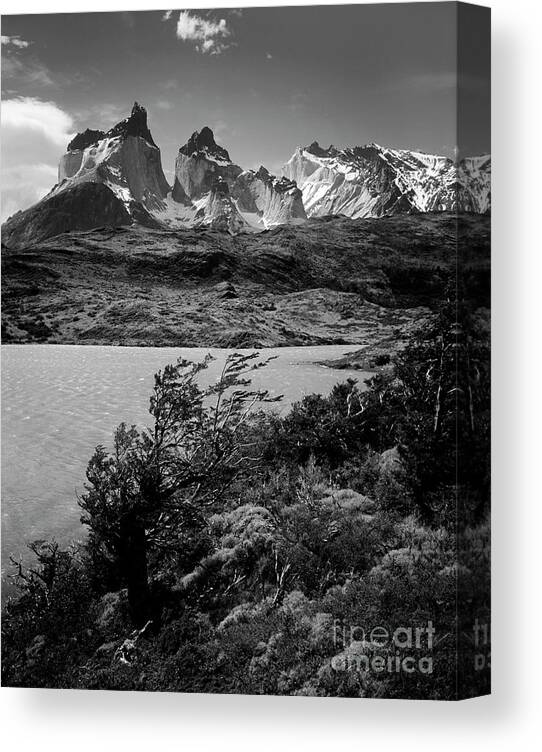 Patagonia Canvas Print featuring the photograph Torres del Paine National Park by Craig Lovell