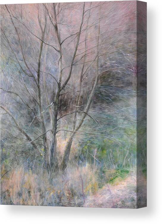 Trees Canvas Print featuring the painting Trees in Light by Harry Robertson