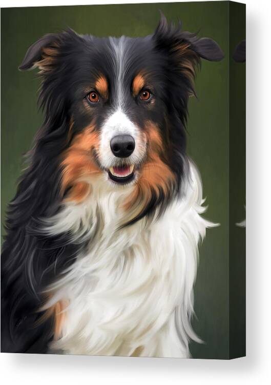 Border Collie Art Print Artwork Colourful Portrait Painting Stocking Filler Picture A4 A5 Sizes Mounting Options Available Birthday Christmas Gift A3