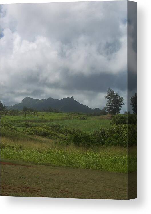Landscape Canvas Print featuring the photograph Tropical Countryside by Michelle Miron-Rebbe