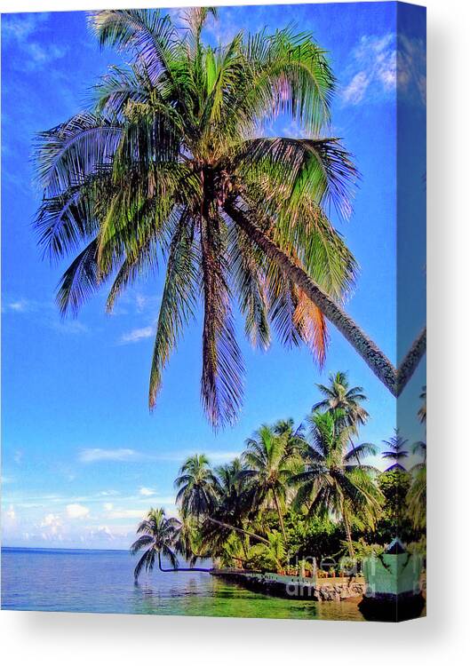 Tree Canvas Print featuring the photograph Tropical Palms by Sue Melvin