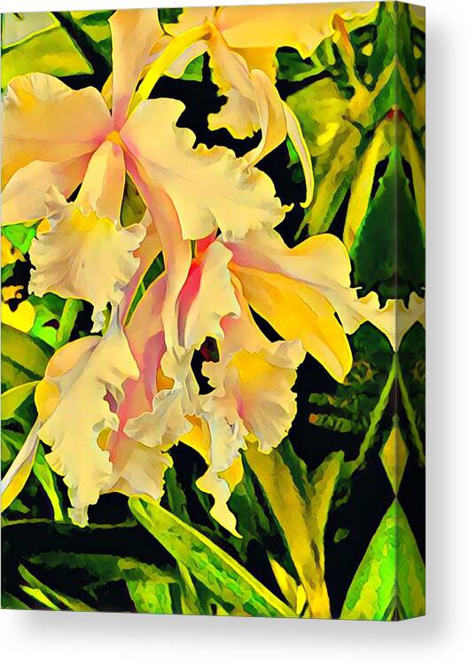 #flowersofaloha #flowers # Flowerpower #aloha #hawaii #aloha #puna #pahoa #thebigisland #twoorchidsinyellow #orchids #yellow #two Canvas Print featuring the photograph Two Orchids in Yellow by Joalene Young