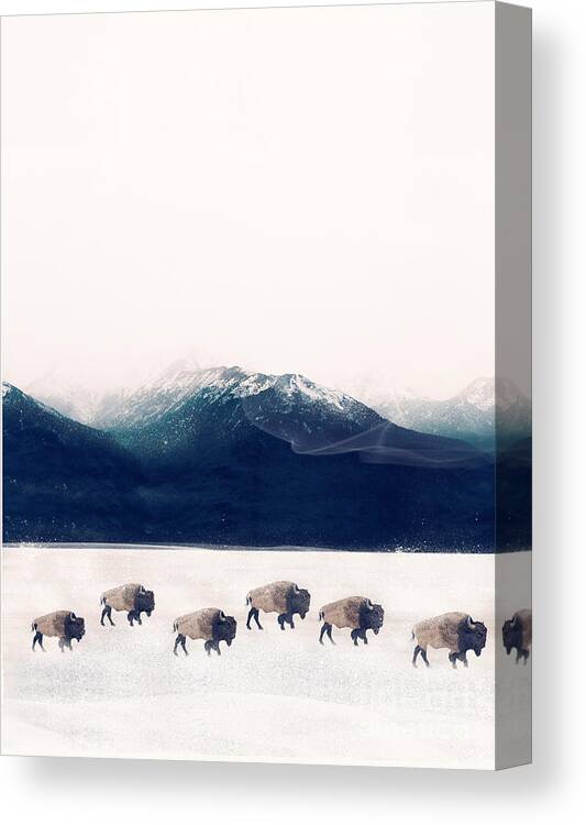 Buffalo Canvas Print featuring the painting Walk The Line by Bri Buckley