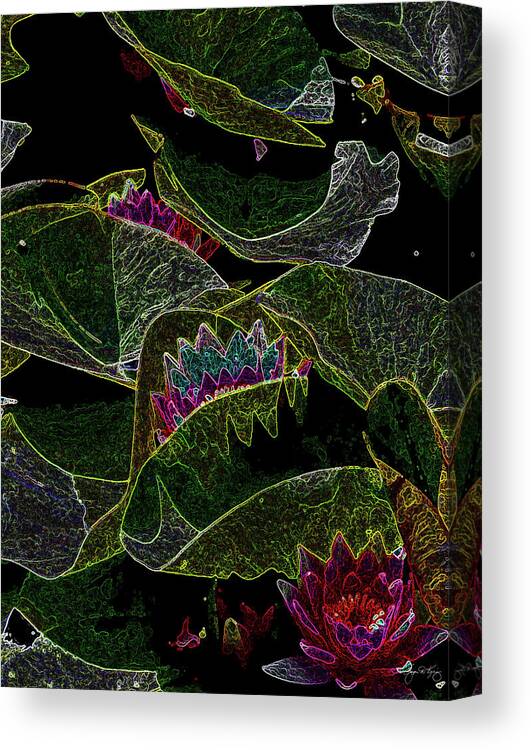 Waterlily Canvas Print featuring the photograph Waterlily Mindscape by Wayne King