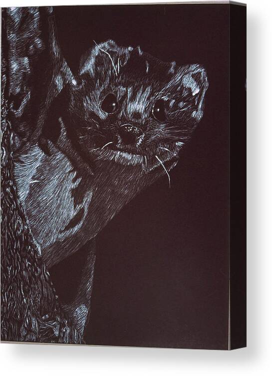 Animal Canvas Print featuring the drawing Weasel Weasel Weasel by Beth Parrish