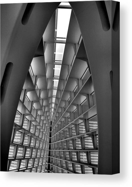 Window Canvas Print featuring the photograph Whale Bones by Steven Ainsworth