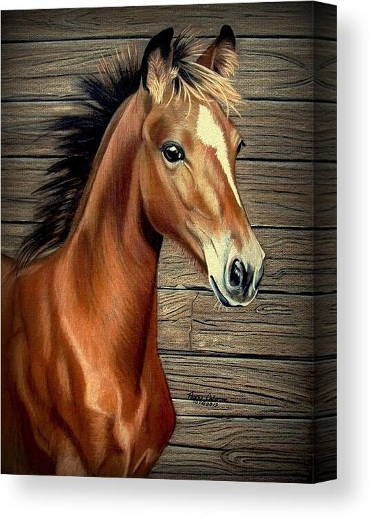 Horse Canvas Print featuring the painting What A Doll by Peggy Osborne