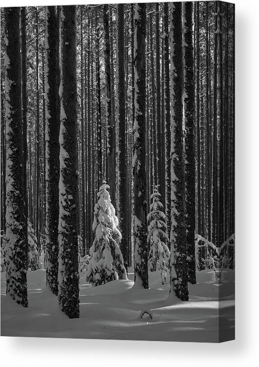 Finland Canvas Print featuring the photograph When the light falls bw by Jouko Lehto