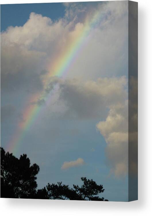 Rainbow Canvas Print featuring the photograph Where the Creek Comes From by Judith Lauter