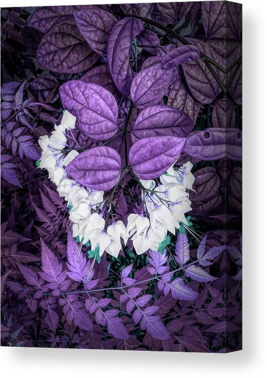 Bleeding Heart Canvas Print featuring the photograph White Bleeding Hearts Vertical Purple by Aimee L Maher ALM GALLERY