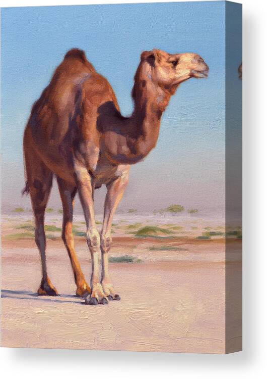Camel Canvas Print featuring the painting Wilderness Camel by Ben Hubbard
