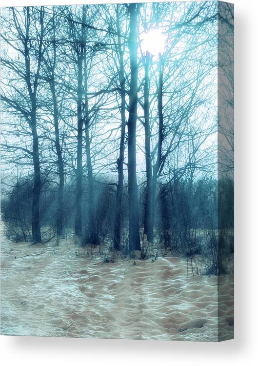Winter Canvas Print featuring the photograph Winter Blues by Wim Lanclus