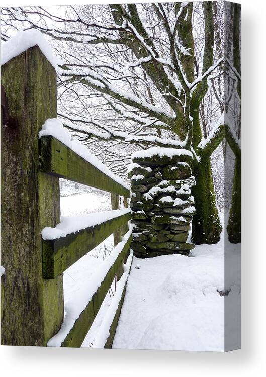 Winter Canvas Print featuring the photograph Winter shall not pass by Lukasz Ryszka