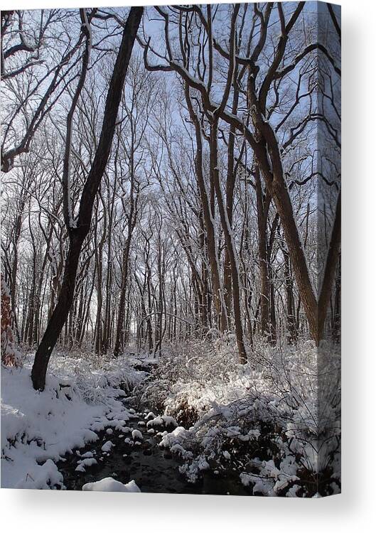 Nature Canvas Print featuring the photograph Winter Woods 3 by Robert Nickologianis