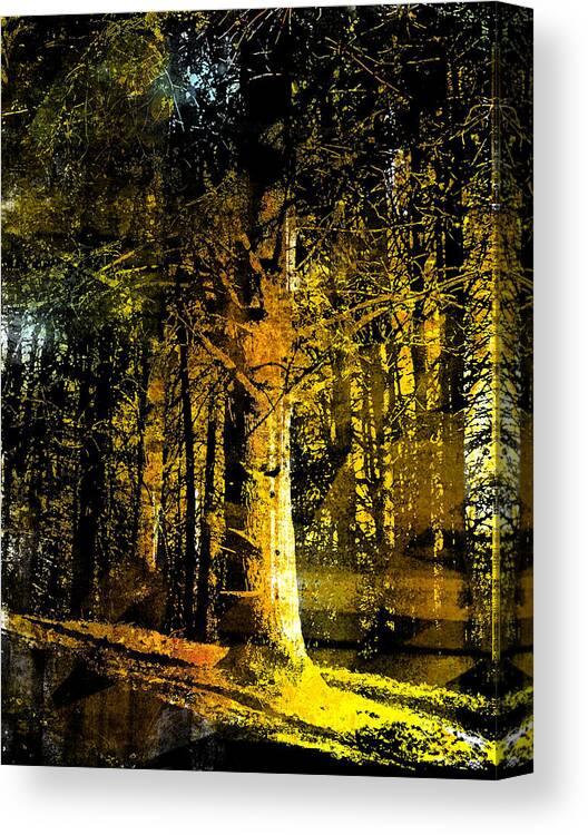 Trees Canvas Print featuring the painting Woodland Tapestry by Paul Sachtleben