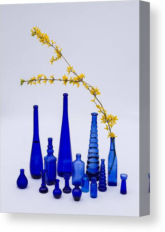 Marzena Grabczynska Lorenc Canvas Print featuring the photograph Yellow and Blue by Marzena Grabczynska Lorenc