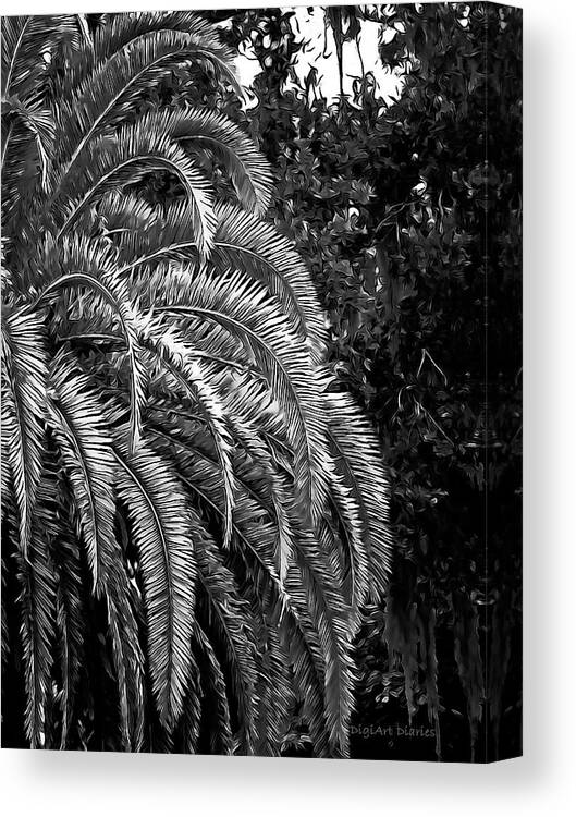 Palm Tree Canvas Print featuring the photograph Zebra Palm by DigiArt Diaries by Vicky B Fuller