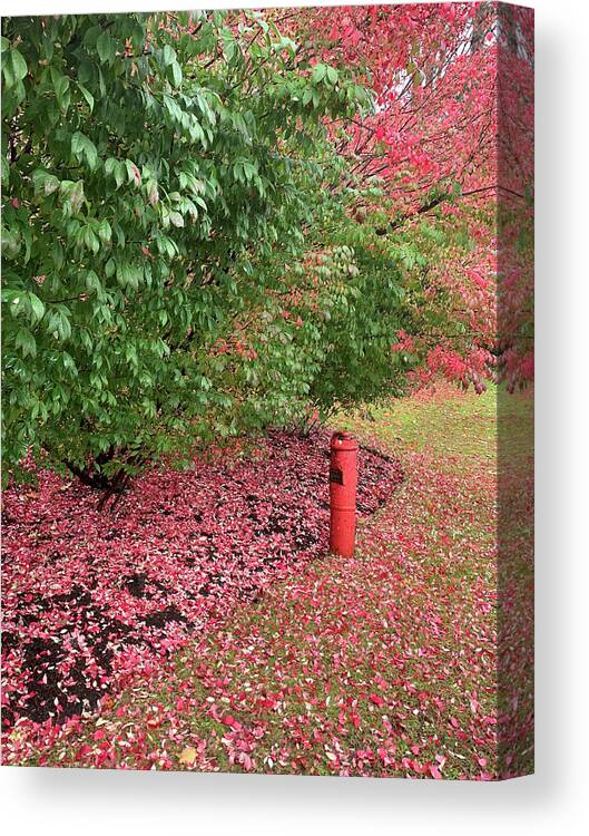 Autumn Canvas Print featuring the photograph Autumn Leaves #1 by Geoff Jewett