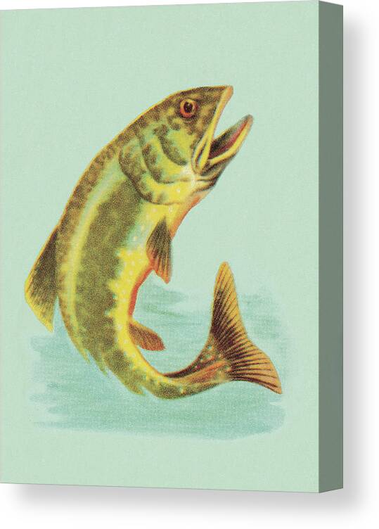 Activity Canvas Print featuring the drawing Fish Jumping #1 by CSA Images