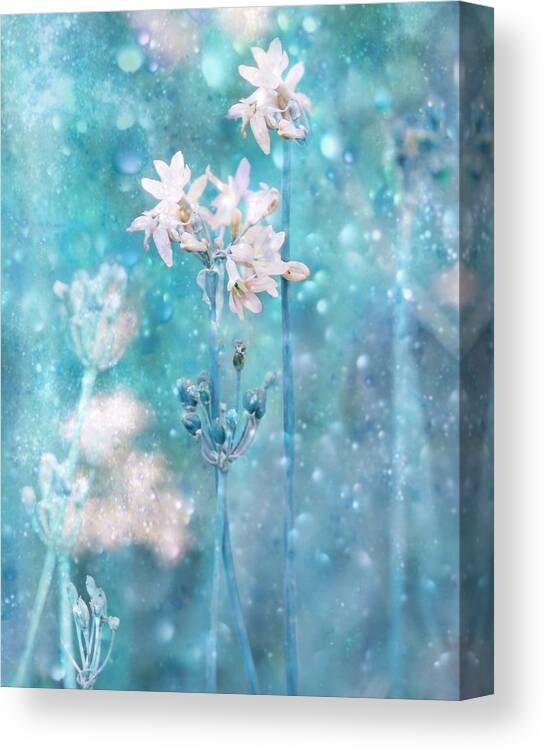 Soft Canvas Print featuring the photograph The Complex Magic Of Nature by Delphine Devos