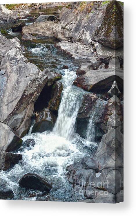 Little River Canvas Print featuring the photograph The Sinks by Phil Perkins