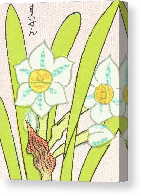 Asian Canvas Print featuring the drawing Flowers #4 by CSA Images