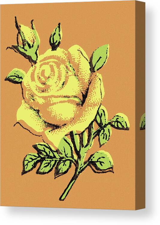 Bloom Canvas Print featuring the drawing Rose by CSA Images