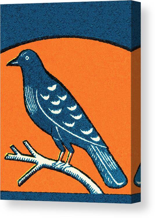 Animal Canvas Print featuring the drawing Bird #95 by CSA Images