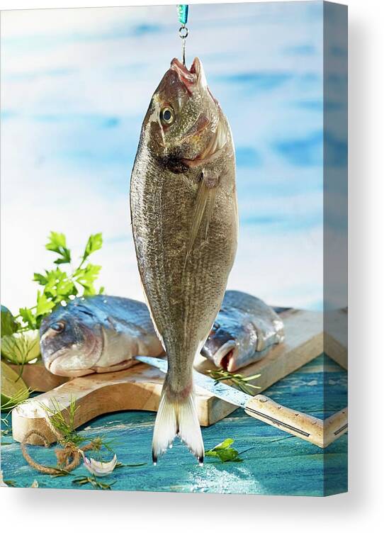 https://render.fineartamerica.com/images/rendered/default/canvas-print/6/8/mirror/break/images/artworkimages/medium/2/a-gilt-head-bream-on-a-fishing-hook-and-two-on-a-wooden-board-with-limes-and-herbs-ludger-rose-canvas-print.jpg