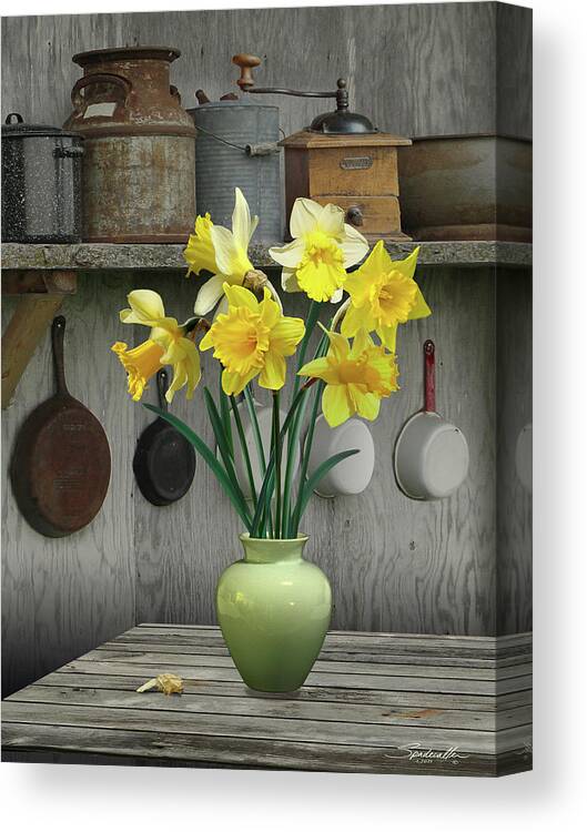 Flowers Canvas Print featuring the digital art A Place for Daffodils by M Spadecaller